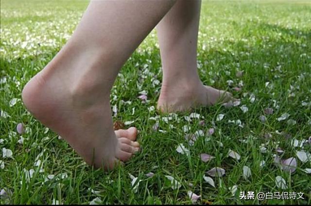 余秀华佳作《在田野上打柴火》：人间情事一丢，就有了清澈的骨骼