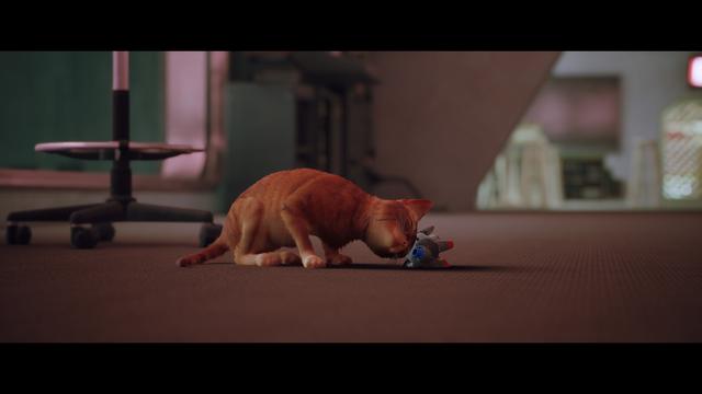 《Stray》评测：竟然有游戏如此明目张胆的收割猫奴！我无法拒绝