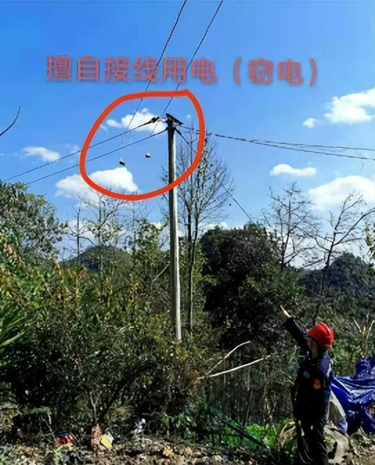 养鱼户偷电被罚32万,一气之下杀了供电所长再自首,谁更怨?