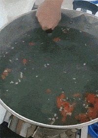 30张罕见图片：最美伴娘团，有纹身的最顶，你们觉得呢？