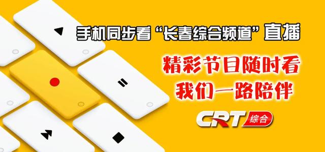 都市情感剧《夺爱》综合频道第一剧场正在播出