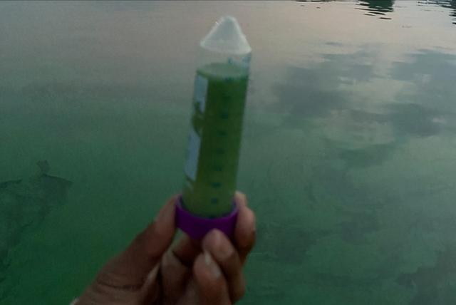 还能喝吗?恒河水突然变绿,引起印度民众恐慌,都是抛尸惹的祸?