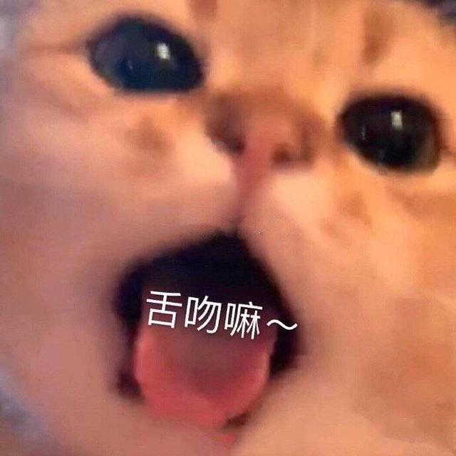 表情包：舌吻吗，妹妹？