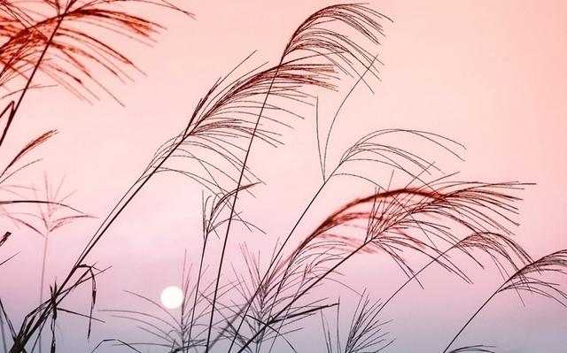 一别经年,你美好如初,我念你如故