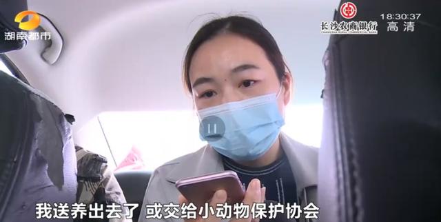 女租客突然离去,房东直呼恐怖:房内遗弃十余只猫,垃圾遍地、恶臭难闻……