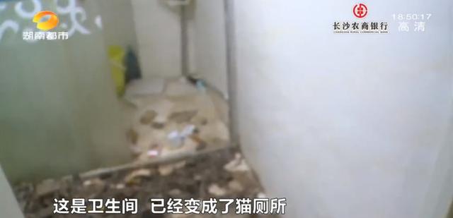 女租客突然离去,房东直呼恐怖:房内遗弃十余只猫,垃圾遍地、恶臭难闻……