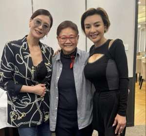 夏文汐(香港女星夏文汐风韵犹存，艳压女神叶子楣，多次被曝与小鲜肉暧昧)