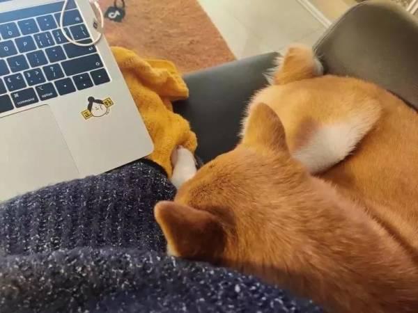 在家办公，全面翻车