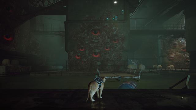 《Stray》评测：竟然有游戏如此明目张胆的收割猫奴！我无法拒绝