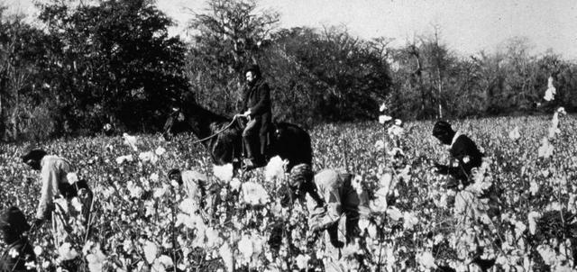 哪里有压迫，哪里就有反抗，美国黑人的“守护神”哈丽特·塔布曼