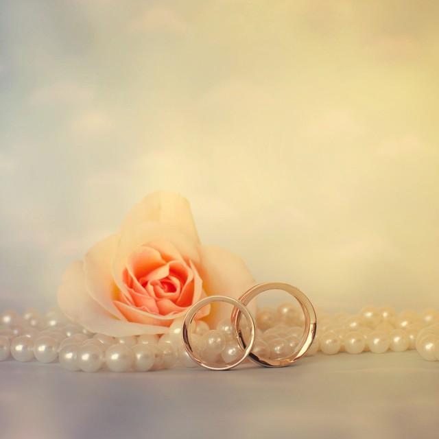 独一份的爱，无可替代