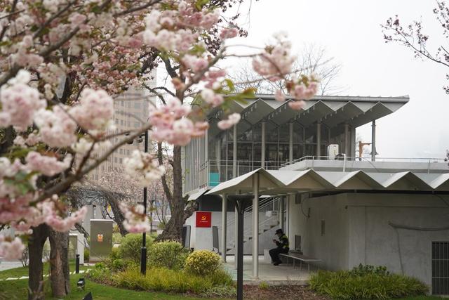 上海滨水宝藏打卡点，竟是社区服务站