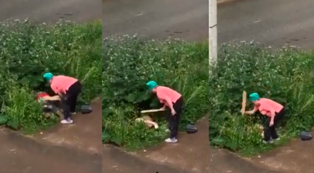 俄一对情侣草丛缠绵，被愤怒的邻居大妈用木板狠打严厉教育