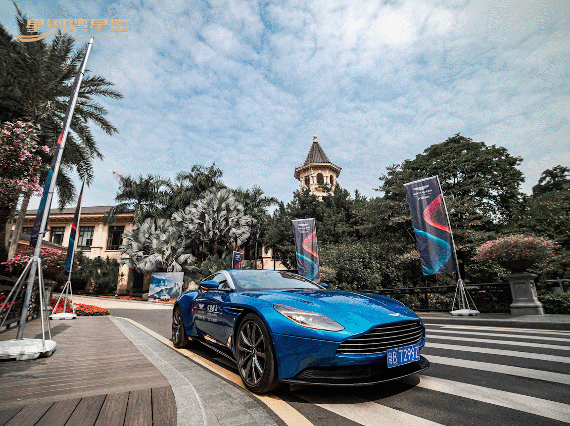 解码星河湾▪星盟