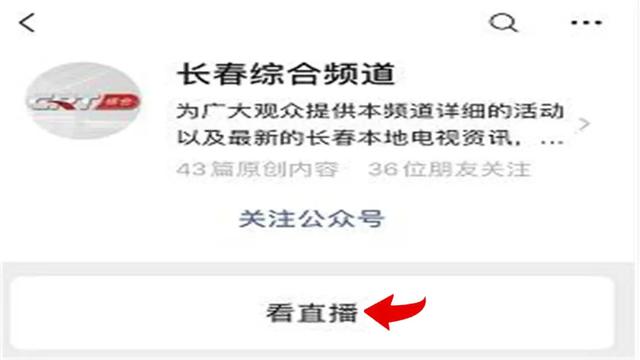 都市情感剧《夺爱》综合频道第一剧场正在播出
