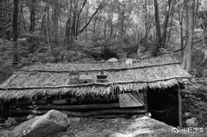 「说谍」沦陷期间,日本于东北地区特务机关和宪兵队之间的内斗