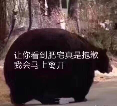 表情包：舌吻吗，妹妹？