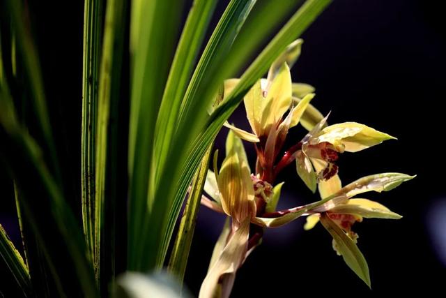 武侠小说中这些好听的人物名字,都来自诗词