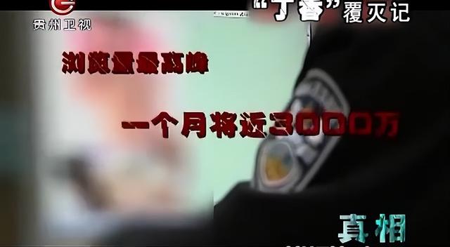 色情网站“丁香”覆灭记：7.3亿的浏览量背后，是谁在操控盈利？