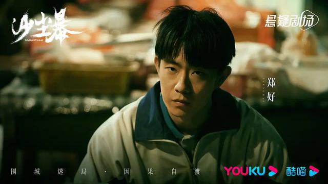 段奕宏、王锵、 张佳宁主演的悬疑刑侦剧《沙尘暴》剧情详解