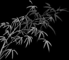 心如铁石(【成语故事】铁石心肠)