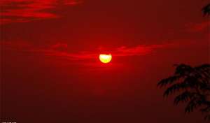 麻雀是谁(卫士长谈毛泽东，他说死后才可以“如实写”，他一生中最怕的是什么)