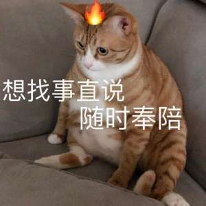 伸舌头的表情包(表情包：舌吻吗，妹妹？)