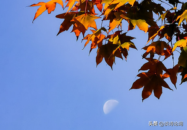 榜眼才子的七律，对仗工整，意境清幽，令人称赞不已