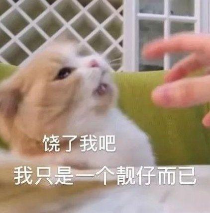 表情包：舌吻吗，妹妹？