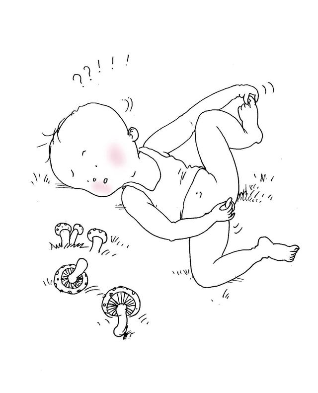 家庭必备指南！畅销美国20年的性教育“圣经”