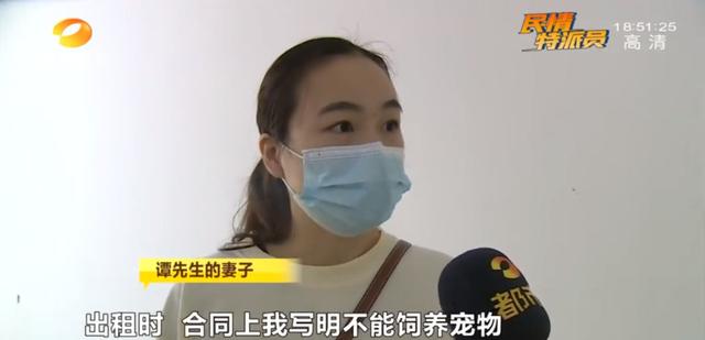女租客突然离去,房东直呼恐怖:房内遗弃十余只猫,垃圾遍地、恶臭难闻……