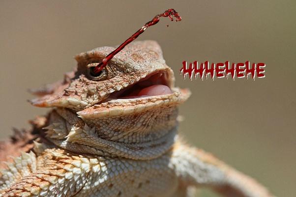 你怕什么,我来什么,利用这种心理生物创造出奇葩的防御机制