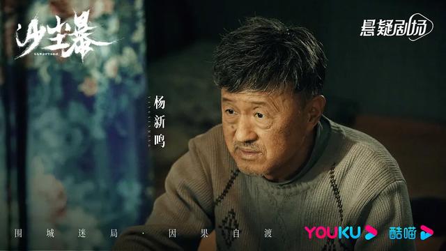段奕宏、王锵、 张佳宁主演的悬疑刑侦剧《沙尘暴》剧情详解