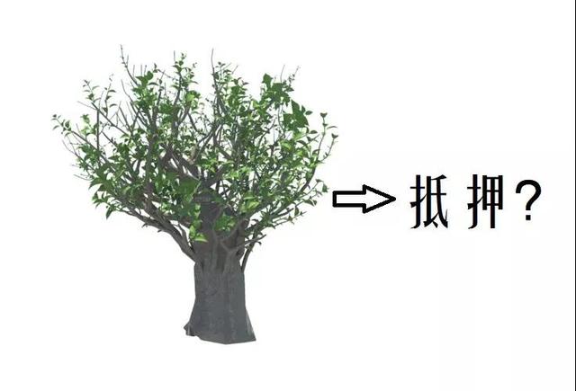 数据看中国｜决战脱贫在今朝！全面建成小康社会 一个民族都不能少