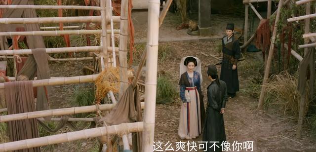 《掌心》结局：原来，这才是叶平安陆丹心姐妹反目的真相