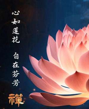 乞爱者(一个女人在婚姻中的认知)