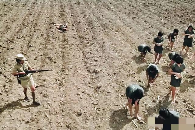 女子监狱片,很“黄暴”!这6部惊悚片,绝美中透着一股诱惑