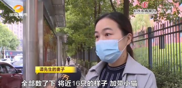 女租客突然离去,房东直呼恐怖:房内遗弃十余只猫,垃圾遍地、恶臭难闻……