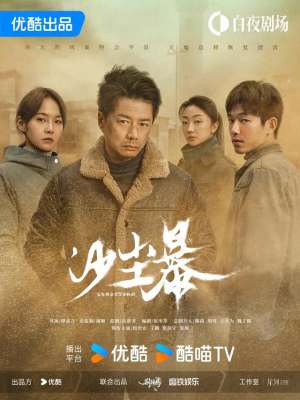 鲍鲲(段奕宏、王锵、 张佳宁主演的悬疑刑侦剧《沙尘暴》剧情详解)