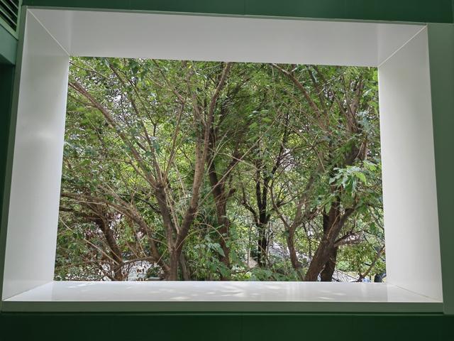 上海滨水宝藏打卡点，竟是社区服务站