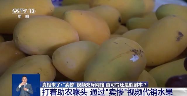 假剧本真牟利！卖惨的“单亲爸爸”有一个完整家庭