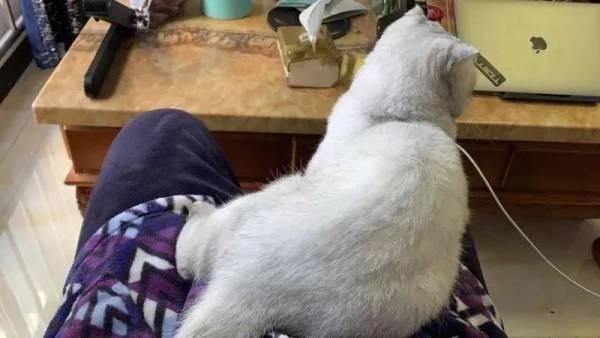 在家办公，全面翻车