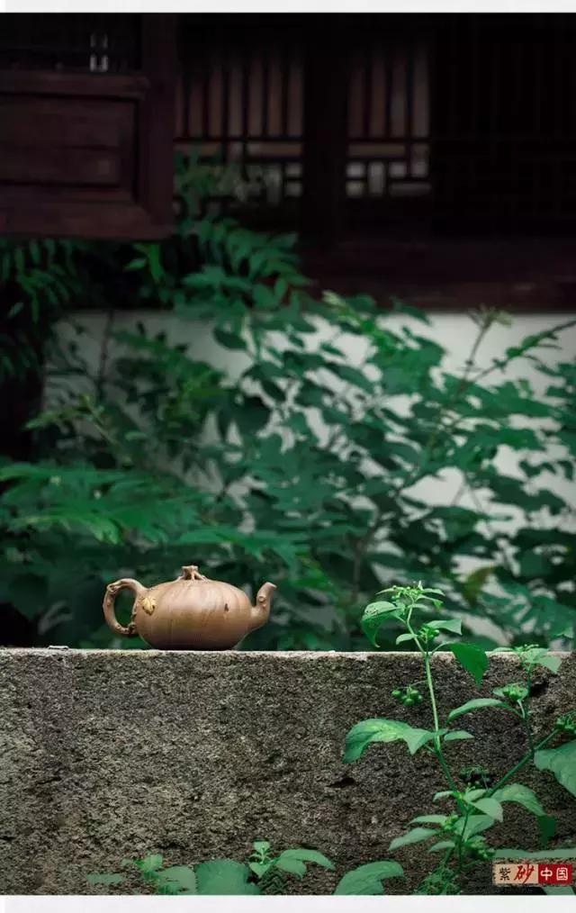 读｜《子辰》石燕·〔原创新作〕