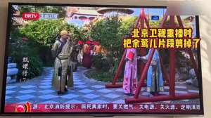 甄嬛传片段(有网友发现北京卫视重播甄嬛传时剪掉了余莺儿的片段，反应)