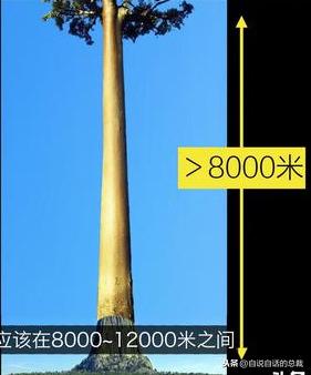 被断绝的通天神树，《山海经》的建木是太空电梯吗