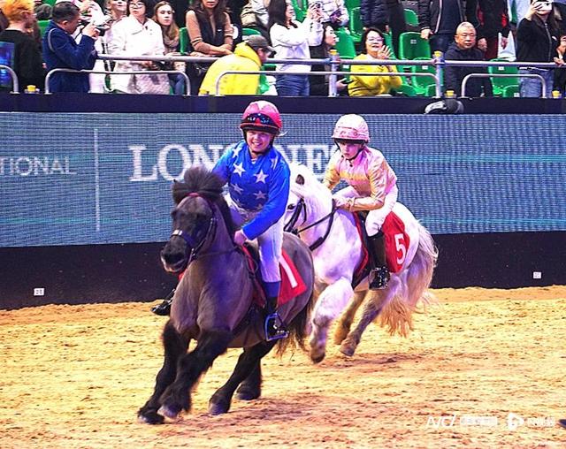 国际马术盛典首次在香港举办，顶尖骑手驾骏马良驹越障争先