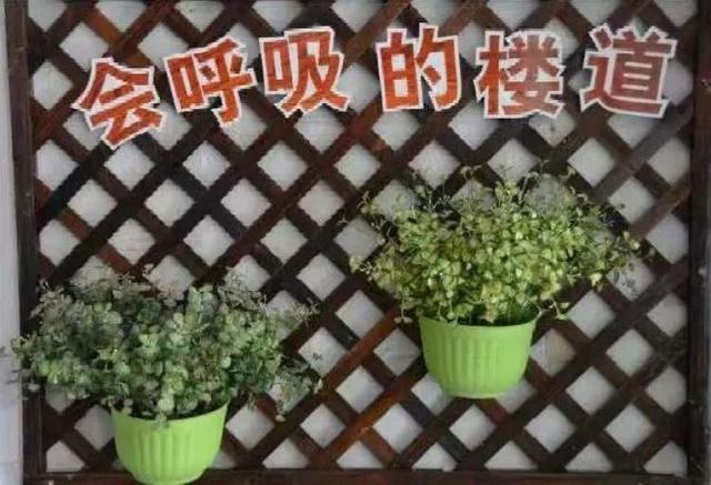 哈灵！自带“滤镜”的居家式邻里空间让人弹眼落睛