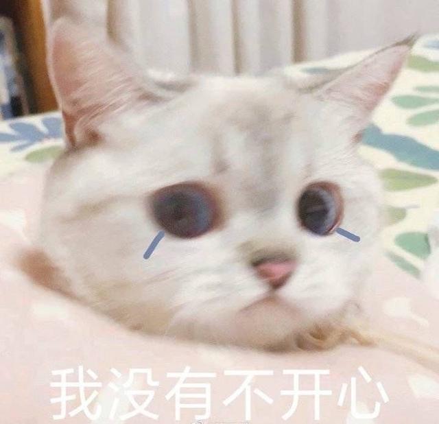 表情包：舌吻吗，妹妹？