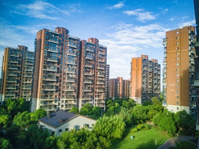 俩儿子争抢着要把李婶接到城里尽孝，可是她却骂儿子们不孝顺…