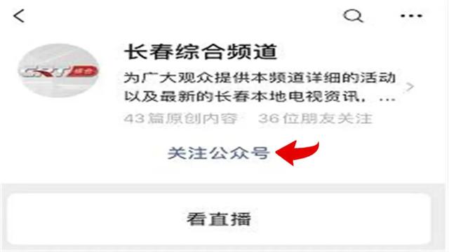 都市情感剧《夺爱》综合频道第一剧场正在播出